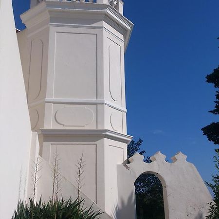 Villa-Chateau Les Terrasses - Tamaris, Plage Des Sablettes, Mer Au Bas De La Propriete لا سين سور مير المظهر الخارجي الصورة
