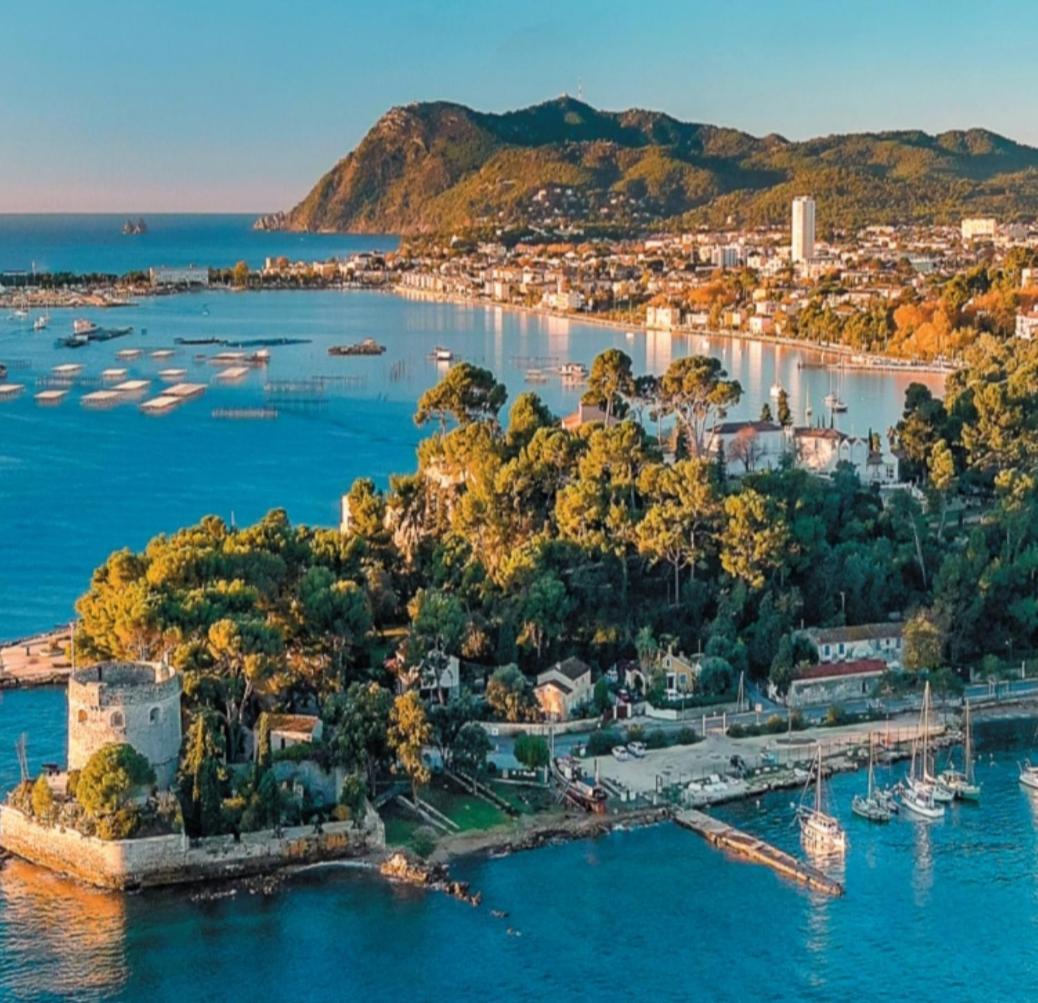 Villa-Chateau Les Terrasses - Tamaris, Plage Des Sablettes, Mer Au Bas De La Propriete لا سين سور مير المظهر الخارجي الصورة