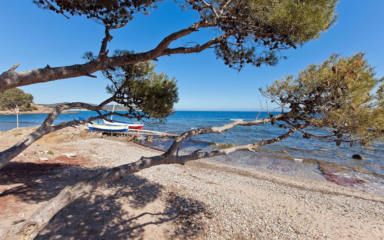 Villa-Chateau Les Terrasses - Tamaris, Plage Des Sablettes, Mer Au Bas De La Propriete لا سين سور مير المظهر الخارجي الصورة